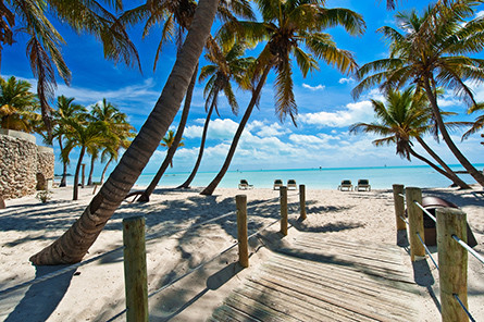 Charter Bus to Key West