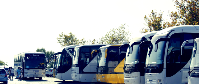 What Is A Charter Bus Service