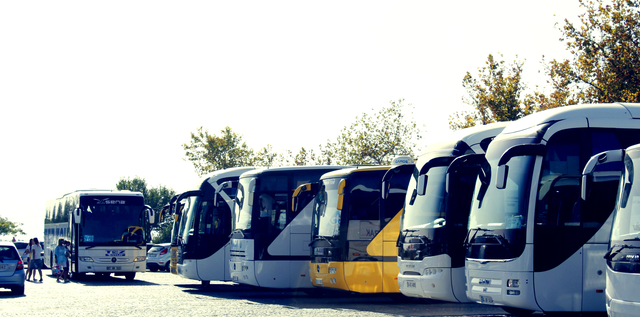 What is a Charter Bus Service